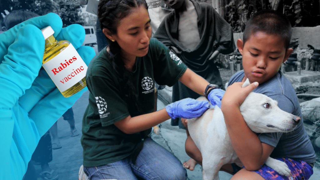 PH logs 426 rabies deaths in 2024