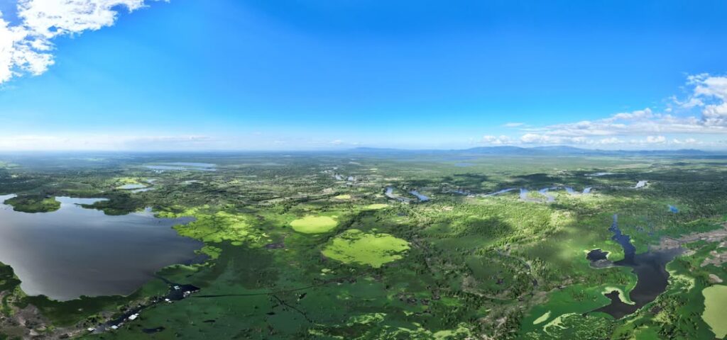 Agusan Marsh in Agusan del Sur